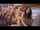 gangbang brunette vaginal