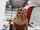 amateur public money