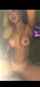homemade big tits blonde