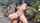 outdoors trimmed pussy nature