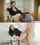 vixen brunette doggy style