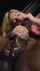 bbc blowjob sloppy blowjob