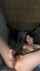 streamer camgirl amatuer
