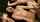jav ahegao orgy