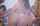 ass dance latina