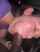 amateur onlyfans bbc
