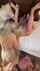 bbc interracial cuckold