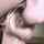blowjob sloppy hot
