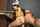 asteria jade femdom asslicking