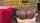 bangbros bbw bigass