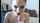 onlyfans tits teen
