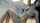 camgirl amateur brunette