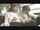 jav japan bus