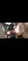 pov blowjob public