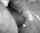 cum cumshot facial