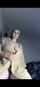 camgirl amateur brunette