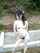 korean amateur nude