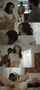 taboo pure taboo bbc