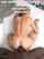 brunette bbc anal