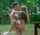 camgirl out bigtits