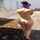 public amateur humiliation