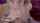 evelin stone evelin bbc