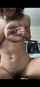 camgirl amateur brunette