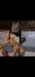 camgirl amateur brunette
