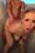 sextape bathroom shower