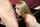 blonde blowjob hot