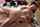 jav japanese big ass