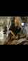 camgirl amateur blonde