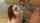 teen glasses cumshot