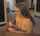 amateur interracial straight
