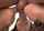 blowjob foursome bwc