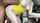 doggy yellow dress sex