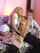 blonde pretty blowjob