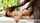 castingcouchhd nvg brunette