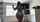 latina big ass tattoos
