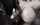 threesome bbc interracial