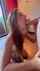 amateur onlyfans bwc