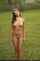 amateur skinny nude