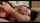 blowjob amateur cim