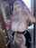 camgirl amateur onlyfans