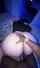 pawg bbc interracial