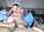 camgirl latina riding