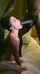 camgirl deepthroat ebony