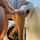 anal standing sex bbc