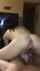 riding pov bbc