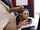cock shock big cock porn ad